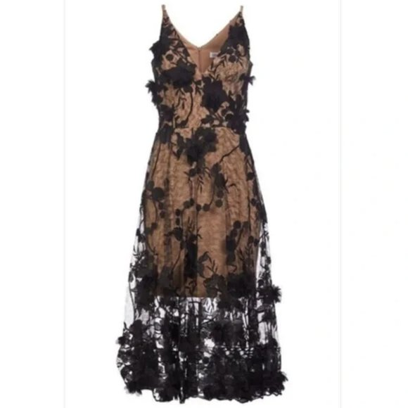 NWT Dress the Population Audrey Dress in Nude/Black-size M #795 - Picture 1 of 10